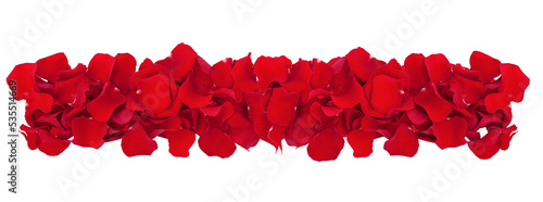 Rose petals red flower isolated on a white background. Solid carpet of rose petals high quality photo