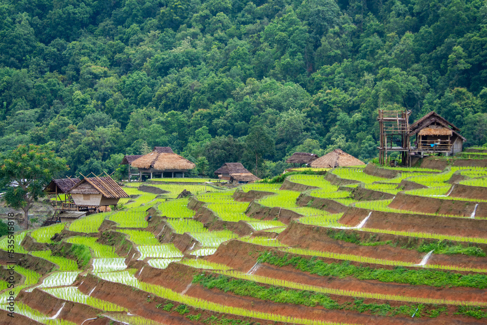 Beautiful terraced rice fields in Chiang Mai Northern Thailand
