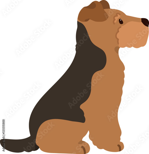 Simple and adorable Welsh Terrier illustration Sitting in Side view flat colored