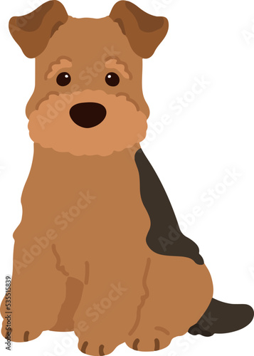 Simple and adorable Welsh Terrier illustration Sitting in Front view flat colored