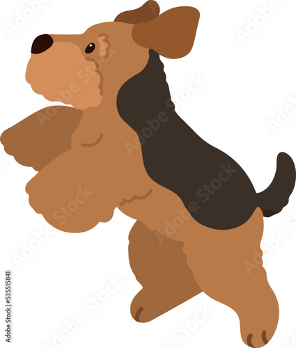 Simple and adorable Welsh Terrier illustration Jumping flat colored