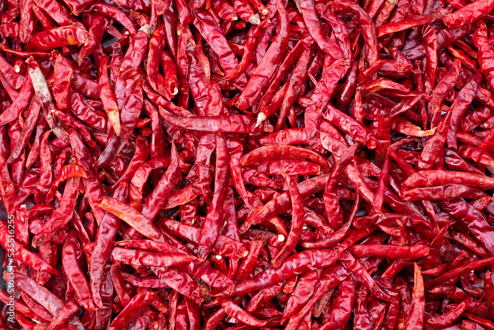 Dry red peppers in high definition background, hot chilli, dried chili with sun light, food preservation concept