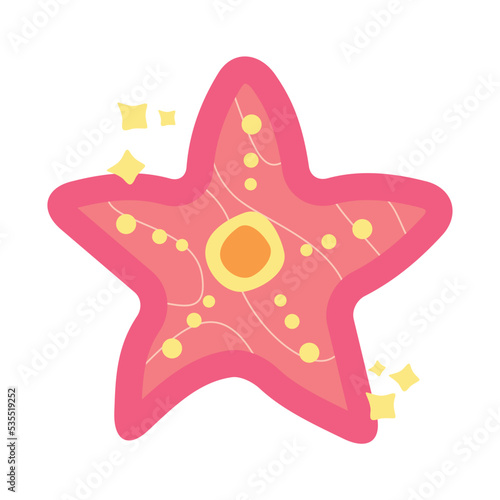 Starfish vector illustration isolated on white background
