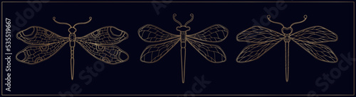 Art nouveau style dragonfly insect basic element. 1920-1930 years vintage design. Symbol motif design.