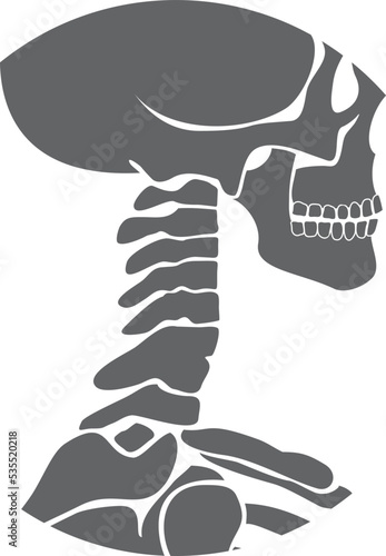 Human neck bone structure. Anatomy black icon