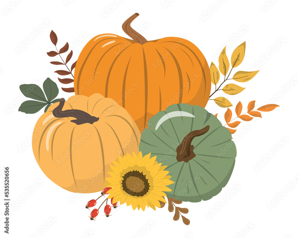 Cartoon harvest or Thanksgiving pumpkins, flowers and forest leaves arrangement Isolated on white background. Seasonal harvest design for greeting or poster.