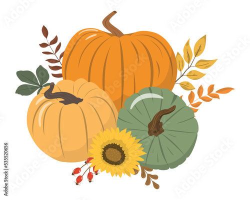 Cartoon harvest or Thanksgiving pumpkins, flowers and forest leaves arrangement Isolated on white background. Seasonal harvest design for greeting or poster.