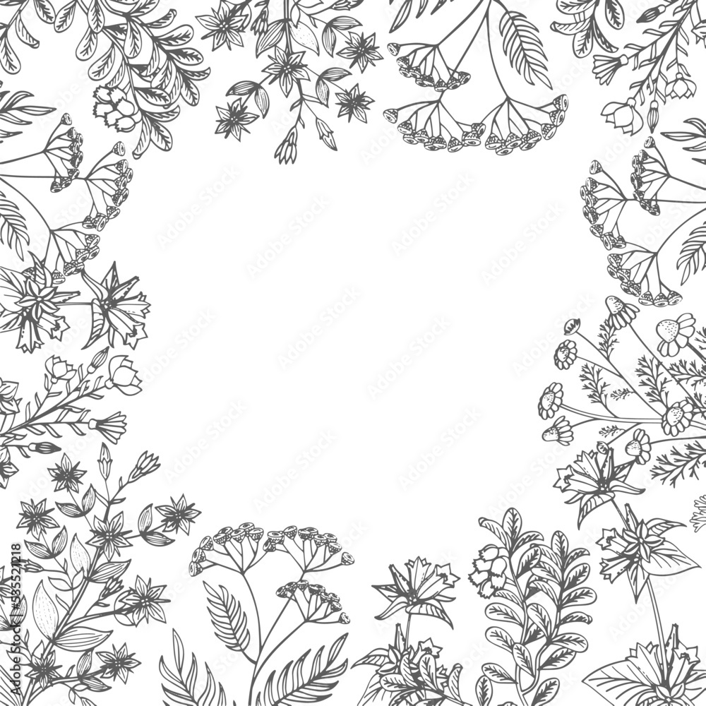 Botanical frame. Herbal border. Plants black drawing Botanical frame. Herbal border. Plants black drawing