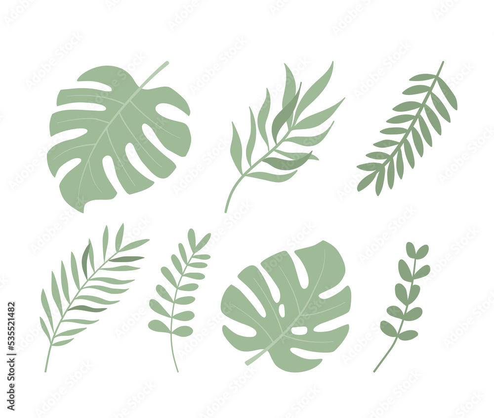 Set of tropical leaves flat vector illustration. Exotic plant on white background