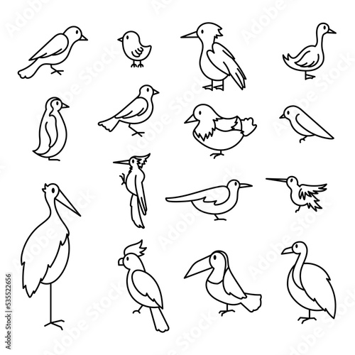 Conjunto de aves, estilo dibujo animado. Ilustración vectorial