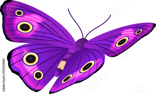 Purple butterfly with bright patterned wings. Flying moth © MicroOne
