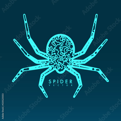 Abstract spider illustration.