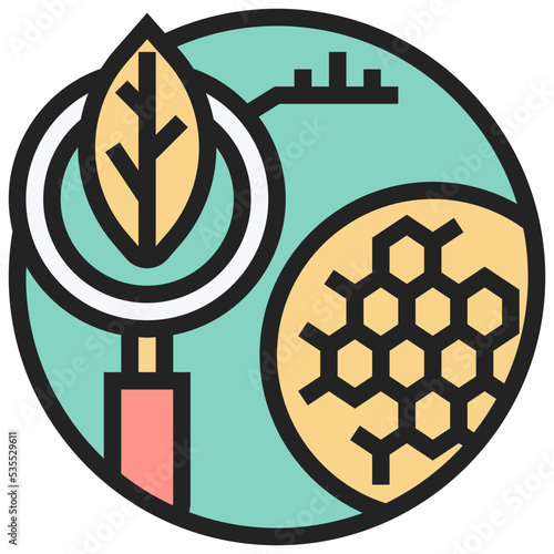 chlorophyll icon