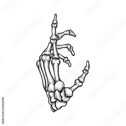 Hand Bones Illustration