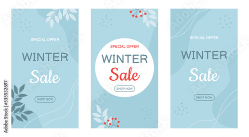 WebSet of winter sale banners template in blue colors with twigs. Template for social media, banner, poster, flyer