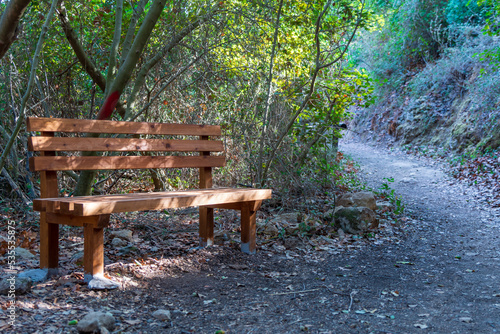 A wooden park bench next to a hiking trail in a forest