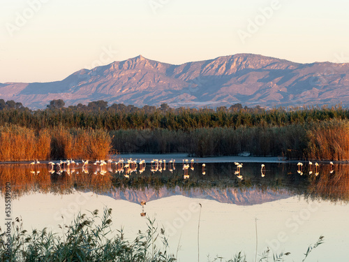 Lago con flamencos y montañas reflejadas en el agua