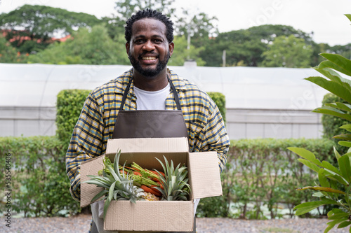 Fototapeta African American farmer holding vegetables in box at organic farm