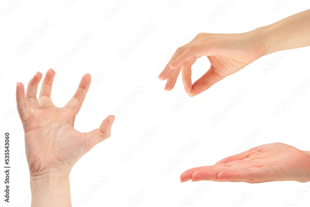 Hand of woman isolated on white.