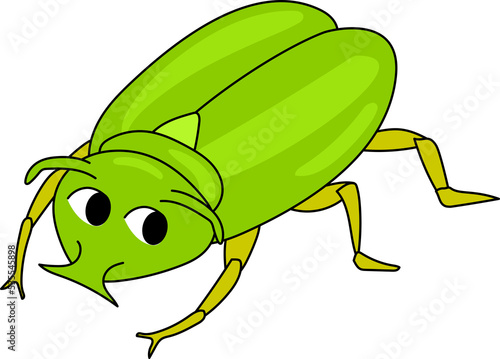 green carab beetle nature animal bug insect clipart photo