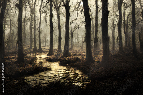 A foggy swamp. Dark and mysterious. 