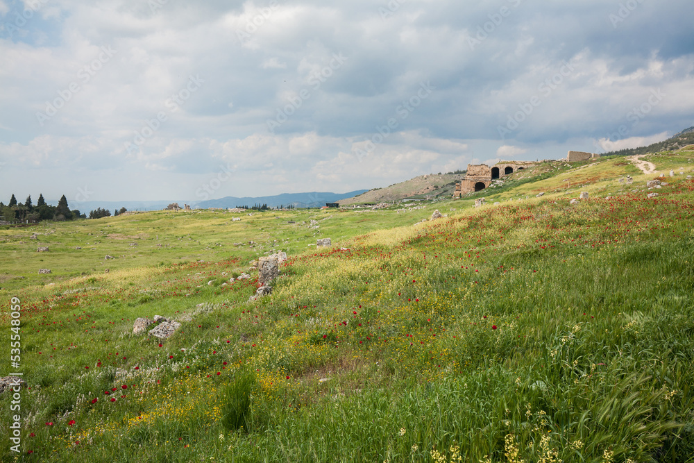 Fototapeta premium Hierapolis is an Ancient City in Pamukkale, Denizli in Turkey