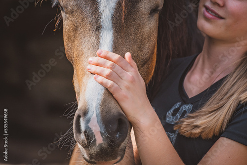 Pferd / Verbindung