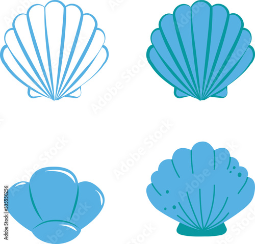 seashell