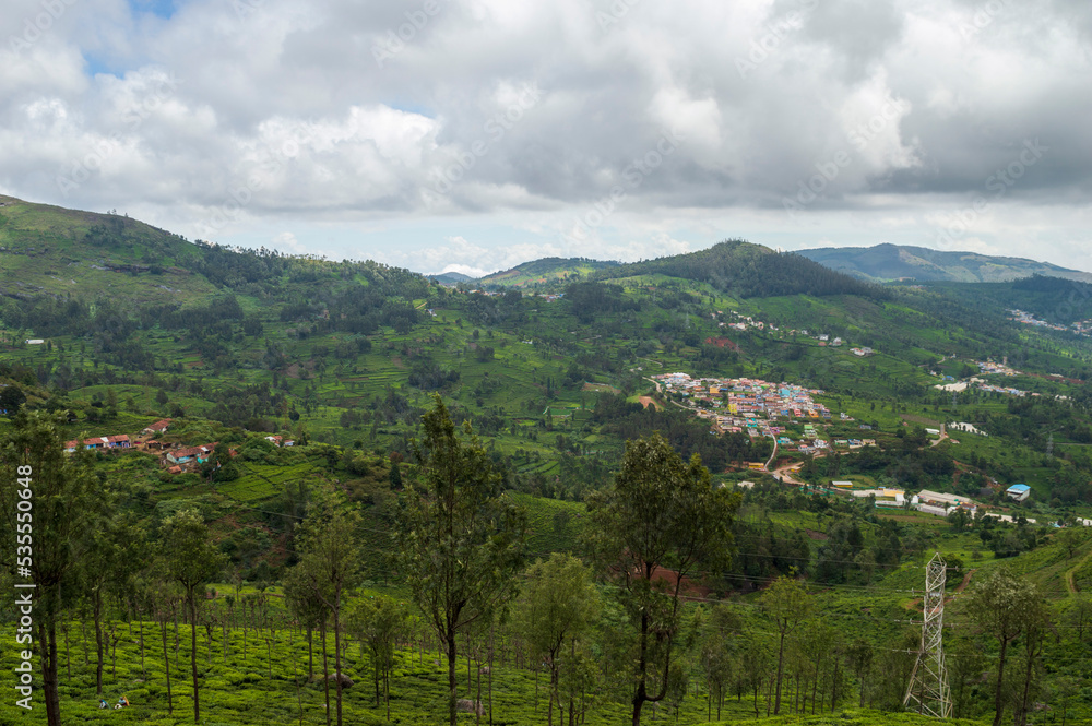 Naklejka premium Tea plantation with trees in the midlde, small houses and towering mountains adding a scenic beauty to the nature 