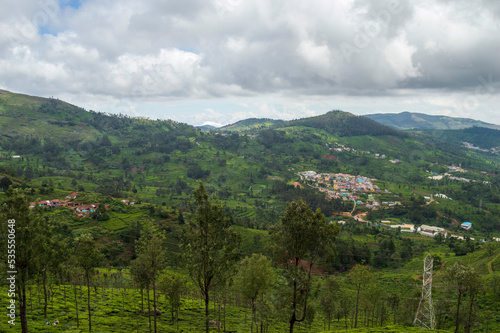 Tea plantation with trees in the midlde, small houses and towering mountains adding a scenic beauty to the nature
 photo