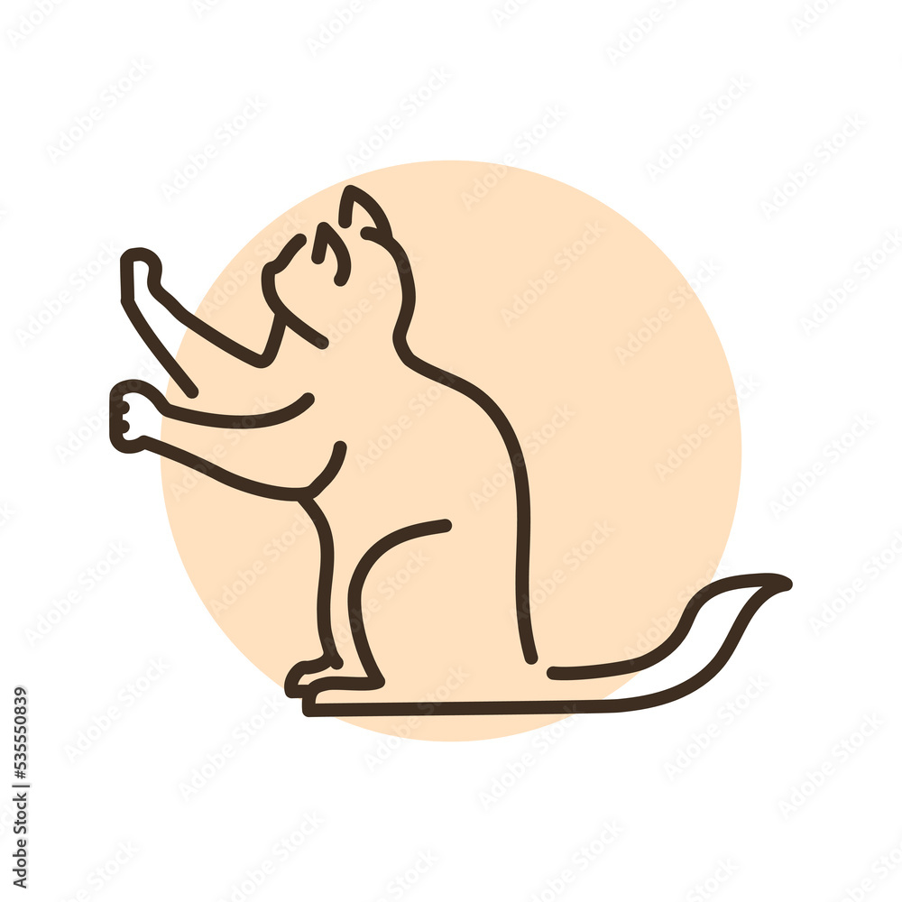 Sitting cat sharpens its claws color line icon. Pictogram for web page Sitting cat sharpens its claws color line icon. Pictogram for web page