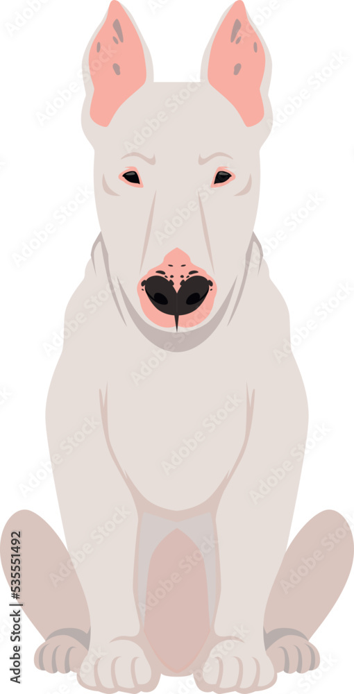Obraz premium Bull terrier icon. Dog breed. Sitting pet