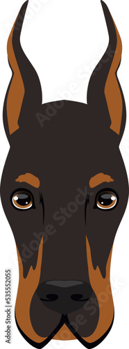 Doberman face icon. Dog head. Pet symbol