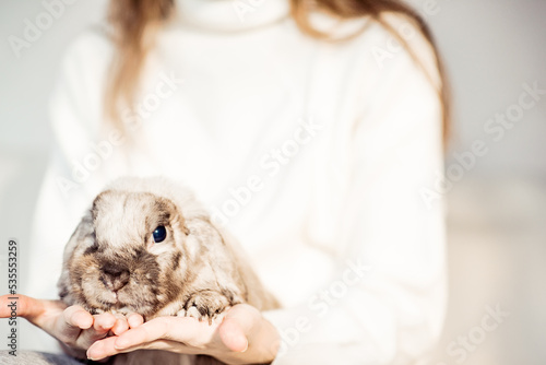 Girl hugs a cute rabbit at home.a girl with a rabbit, bunny pet.
