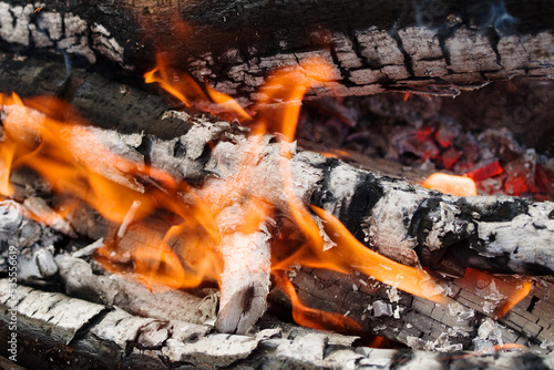 Burning wood close-up, campfire in nature