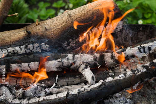 Burning wood close-up, bonfire in the barbecue in nature