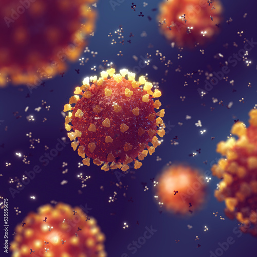 Immune system's response - antibodies (immunoglobulin) attacking and neutralizing coronavirus. The coronavirus (SARS-COV-2) is a highly infectious virus that causes severe acute respiratory syndrome photo