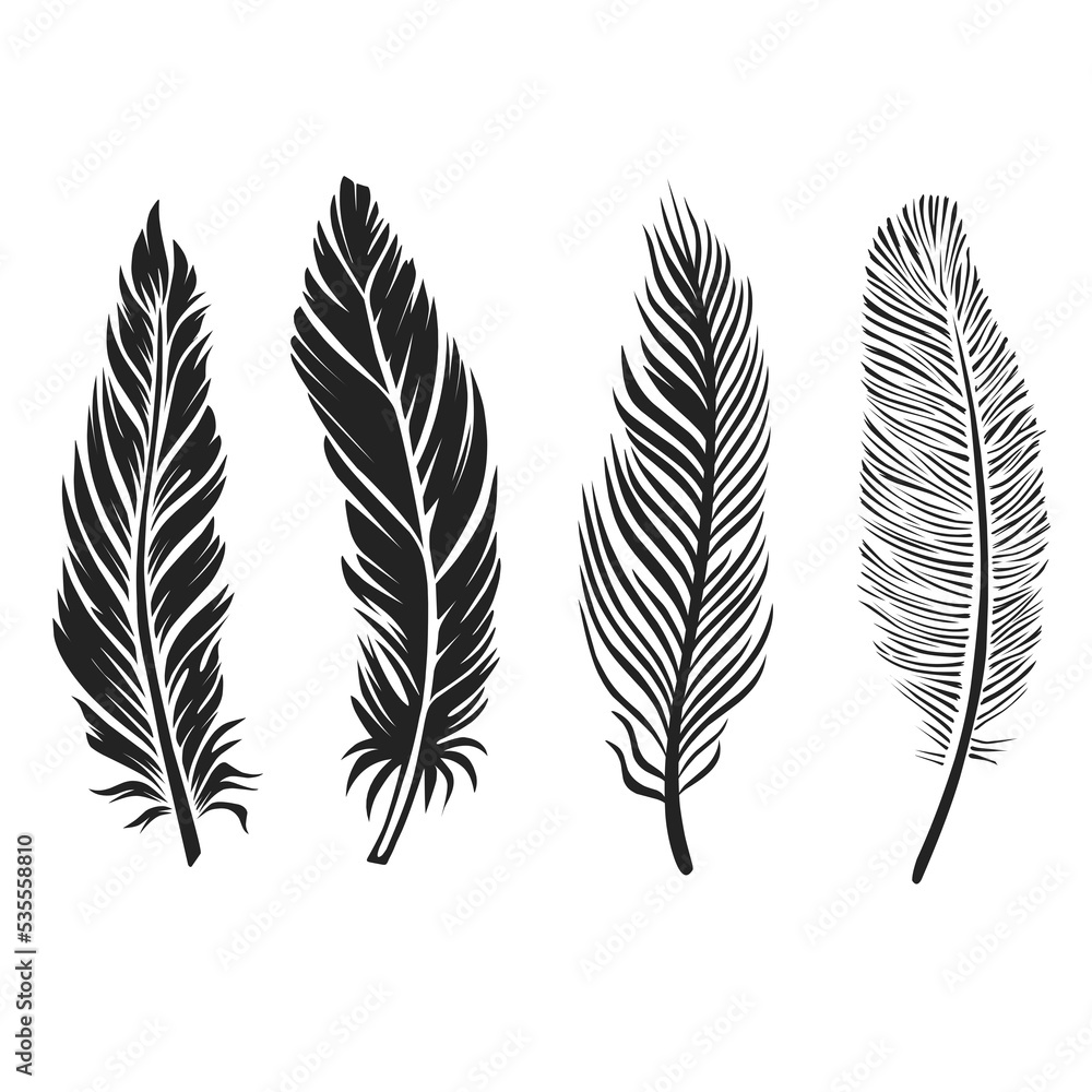 set of feathers
