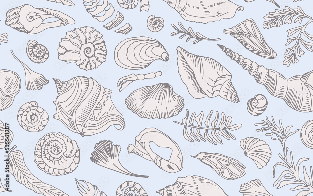 Isolated line art contour seashells and plants Seamless pattern Hand drawn ocean shell or conch mollusk scallop Sea underwater animal fossil Nautical and aquarium, marine theme. Vector illustration Isolated line art contour seashells and plants Seamless pattern Hand drawn ocean shell or conch mollusk scallop Sea underwater animal fossil Nautical and aquarium, marine theme. Vector illustration