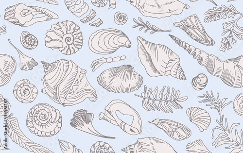 Isolated line art contour seashells and plants Seamless pattern Hand drawn ocean shell or conch mollusk scallop Sea underwater animal fossil Nautical and aquarium  marine theme. Vector illustration