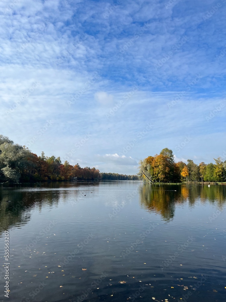 autumn trees reflection on the surface of the pond in the park, golden fall