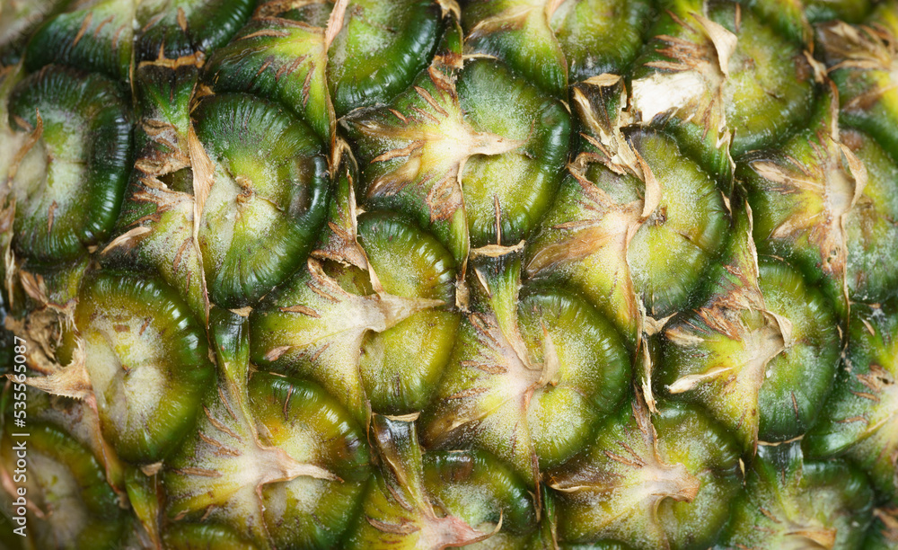 close up pineapple dark green yellow pattern with soft light texture background.for healthy food wallpaper,summer fruit backdrop cover design. close up pineapple dark green yellow pattern with soft light texture background.for healthy food wallpaper,summer fruit backdrop cover design.