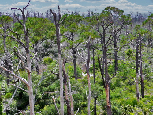 Fort Pickens Gulf Islands National Seashore photo