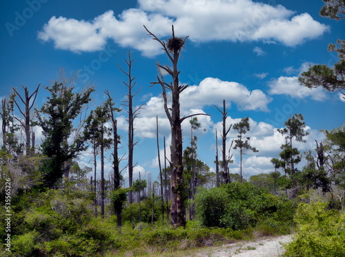 Fort Pickens Gulf Islands National Seashore