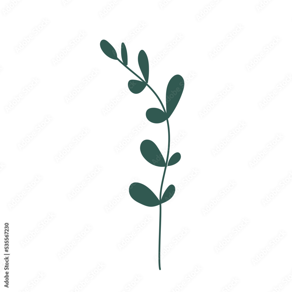 nature tropical leaf foliage decoration