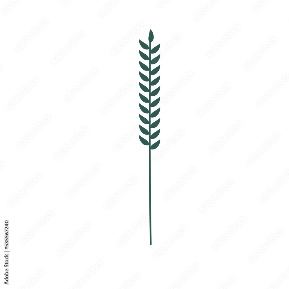 nature tropical leaf foliage decoration nature tropical leaf foliage decoration