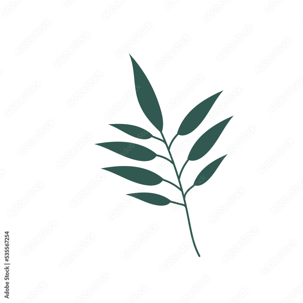 nature tropical leaf foliage decoration nature tropical leaf foliage decoration