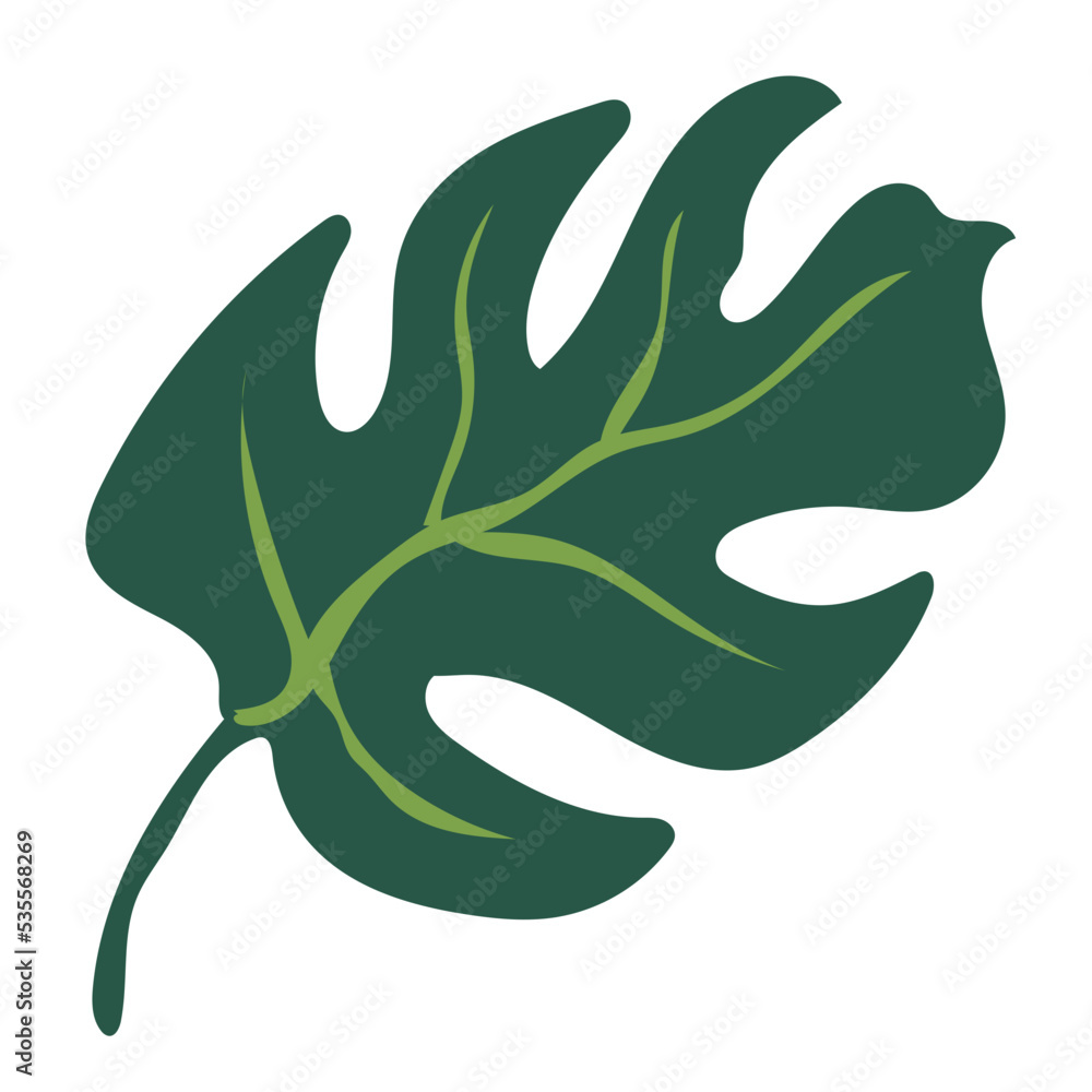 monstera tropical leaf decoration monstera tropical leaf decoration