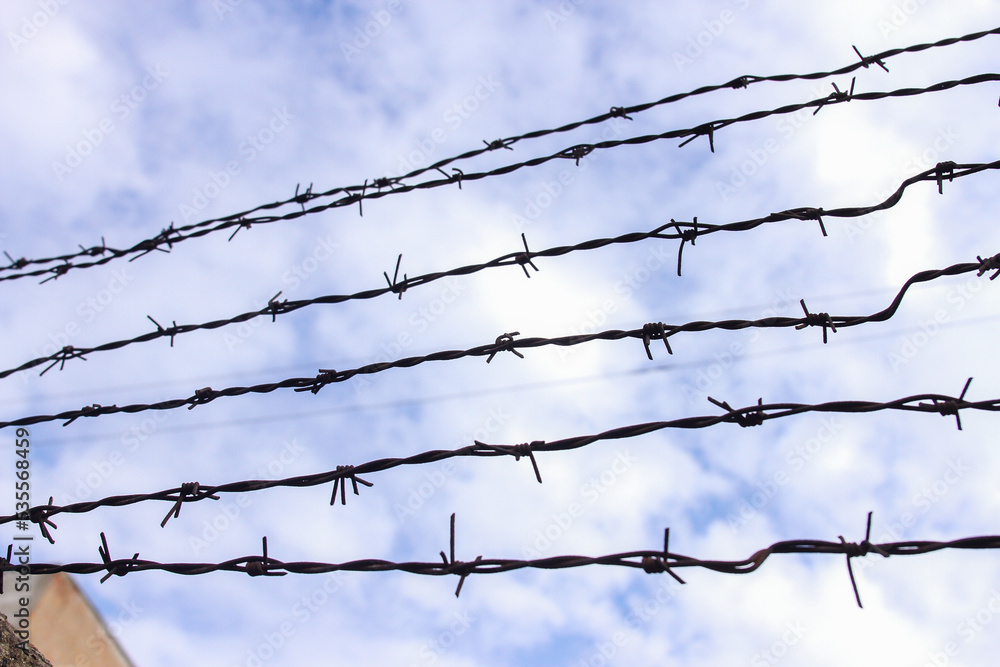 Barbed wire on a background of white-blue sky Barbed wire on a background of white-blue sky