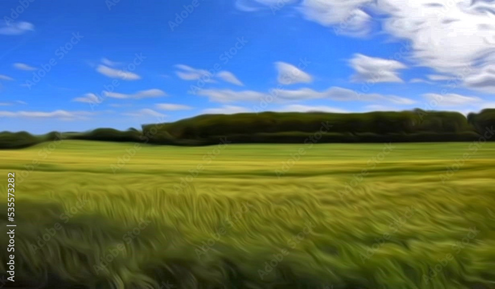 aesthetic and beautiful grass background